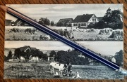 RADOLINEK k. Czarnków Trzcianka Dolina Noteci zabudowa dzieci krowa ~1908