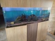 Akwarium 450l kompletne