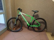 Rower Zeger Active X rama 17 cali