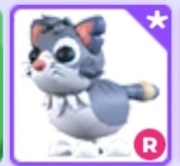 R Alley Cat! |NAJTANIEJ SZYBKO DUŻO POLECEŃ!| Adopt Me |Roblox