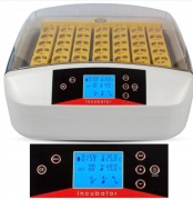 Inkubator do wylęgu jaj  Model YZ-56A 