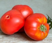 Pomidor Box Car Willie - duże owoce