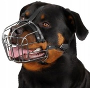 Kaganiec skórzany BronzeDog