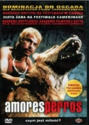 DVD AMORES PERROS nowe w folii lektor napisy