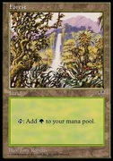 MTG Mirage: Forest (C)