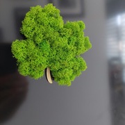 Magnes koniczyna wypełniony bezobsługowym chrobotekiem