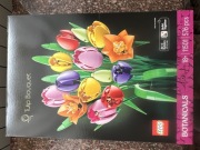 Lego Botanicals 11501 Bukiet Tulipanów