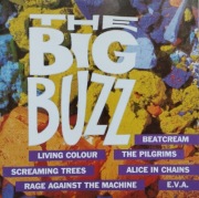 Various – The Big Buzz    CD alternative indie rock, funk metal, grunge 