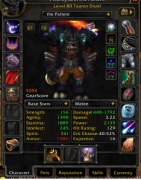 Konto WoW Stormforge Frostmourne Feral druid Horda 5.1 k 