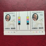 JP II - ZAMBIA 1991 - CHR. 161  PARKA Z MIĘDZYPOLEM K6-85/K2   RARYTAS !!!