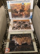 Zestaw puzzli koty tygrysy 