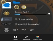 Konto Prime CS2 2 Medale Premier