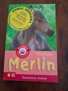 Merlin bezdomny źrebak