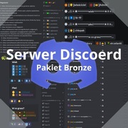 Profesjonalny serwer DIscord na zamówienie - Pakiet Bronze