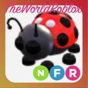 Roblox Adopt Me Ladybug NFR