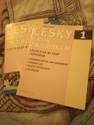 Nauka czeskiego podstawy 