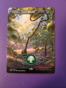 Forest (Unfinity - Magic the Gathering)