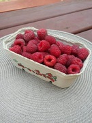 Sprzedam maliny  17 zł/kg   