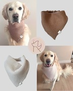 Chusta dla psa - różne kolory i rozmiary 