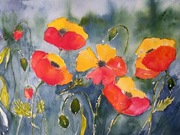 Obraz ręcznie malowany akwarela Makowa łąka 32x24 cm