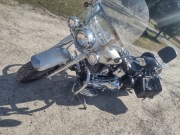 Harley Davidson FLSTF 