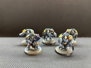 Warhammer 40k Space wolves terminators