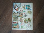 Znaczki pocztowe 25 szt., ptaki, różne serie, kolekcja Wilmar Stamps