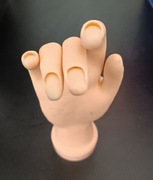 Ręka kosmetyczna prawa do ćwiczeń manicure