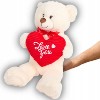 Pluszowy Miś Walentynkowy 50 cm