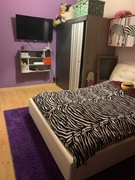 Meble FORTE ZEBRA- zestaw młodzieżowy