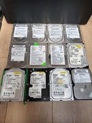 Dysk HDD 3,5" ATA IDE Samsung 40 GB Western Digital 