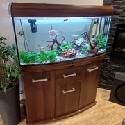 Akwarium 200 L z szafką
