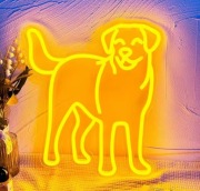 NEON WETERYNARZ PIES LABRADOR RETRIEVER KLINIKA WETERYNARYJNA SZYLD SKLEP