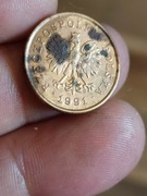 Sprzedam 5 groszy 1991 r 