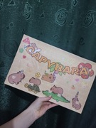 Kalendarz adwentowy 24 figurki  kapibara dla dzieci