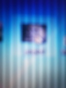 Popiół drzewny ogród