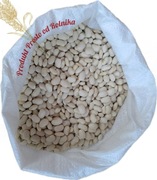 Fasola Jaś Opakowanie 5kg wysyłamy Inpost