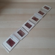 Kolekcjonerskie slajdy Kodak Florencja z etui