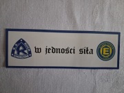 Vlepki Ruch Chorzów & Elana Toruń #2