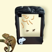 Karmnik magnetyczny do terrarium, karmnik dla gadów, logo kameleon