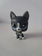 Littlest Pet Shop LPS piesek mały lps