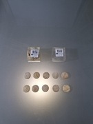 Kapsle Maskujące Kornik fi 20 mm Sosna 20 szt.