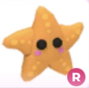Starfish R - Adopt Me Roblox