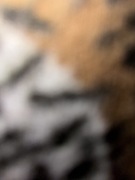 Acer Nitro 5 i7-12650H - Black