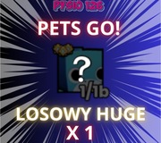 Losowy Huge Pet | Pets Go! | Roblox | Najszybciej i Najtaniej