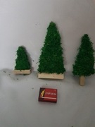 Choinka mech chrobotek