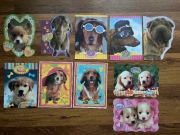 Karteczki Pieski 10 szt. (duże)