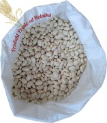 Fasola Jaś Opakowanie 5kg wysyłamy Inpost