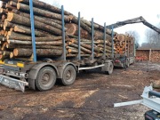 Drewno opałowe Liściaste/Iglaste w dobrej cenie 