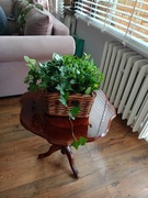 Stolik kawowy drewniany 